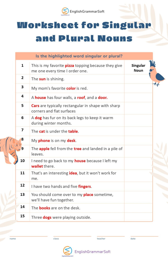 Singular And Plural Nouns 15 Rules 50 Examples Worksheet  - Worksheets For Singular And Plural Nouns