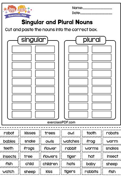 Singular And Plural Nouns Exercises PDF - Singular And Plural Nouns Exercises Worksheets Pdf