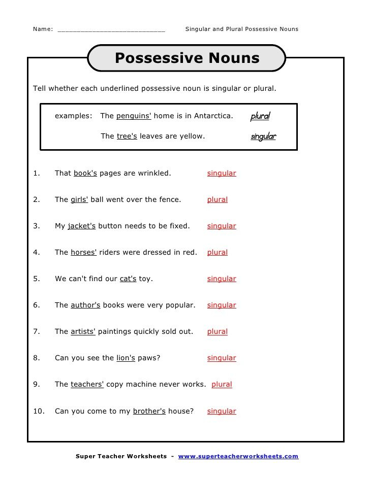 Singular And Plural Possessive Nouns Worksheets With Answers - Singular And Plural Possessive Nouns Worksheets With Answers