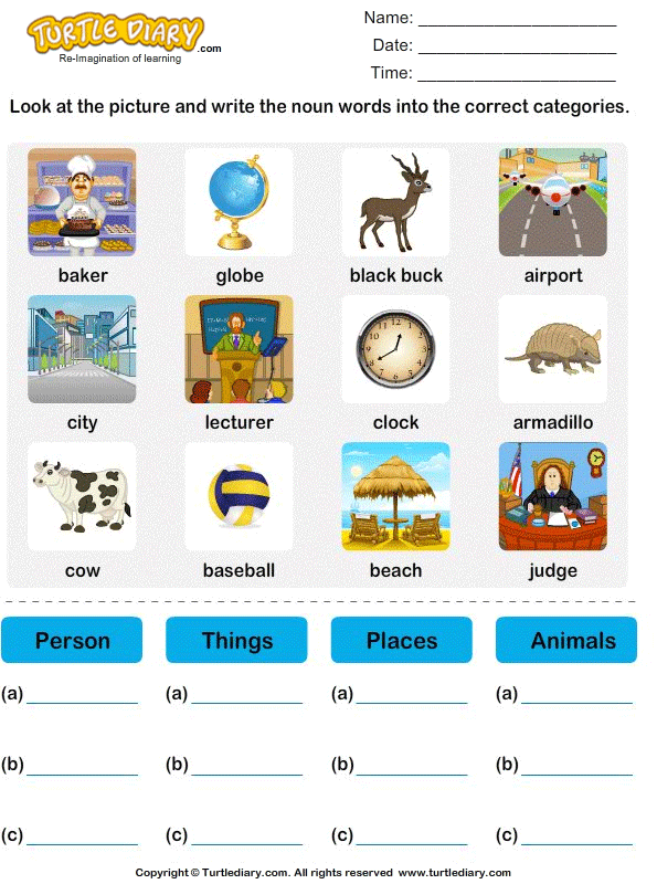 Sort Nouns As Person Place Animal Or Thing Turtle Diary Worksheet - Noun Worksheets Identify Person Place Thing