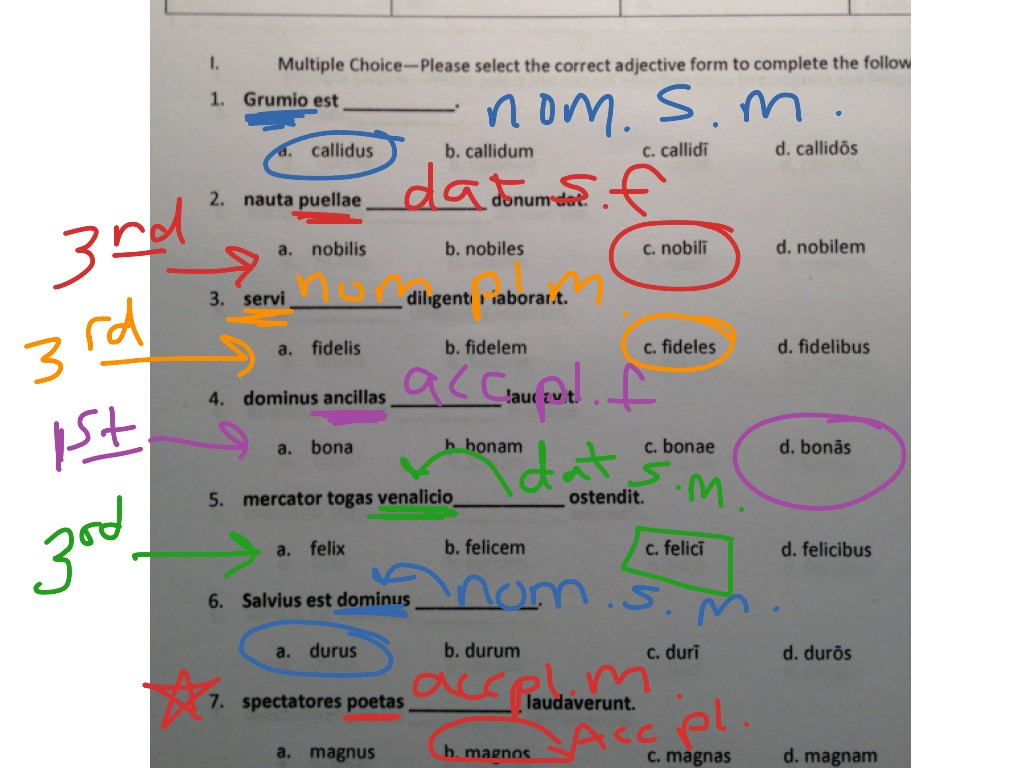 St 14 Noun Adjective Agreement 1 Language Latin Latin Grammar ShowMe - Noun Adjective Agreement Latin Cambridge Worksheet