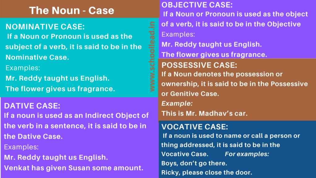 The Noun Case The Noun School Lead - Cases Of Nouns Worksheet