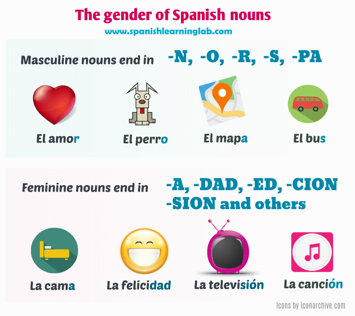 The Rules For The Gender Of Nouns In Spanish Spanish Learning Lab - Gender Of Nouns And Articles In Spanish Worksheet