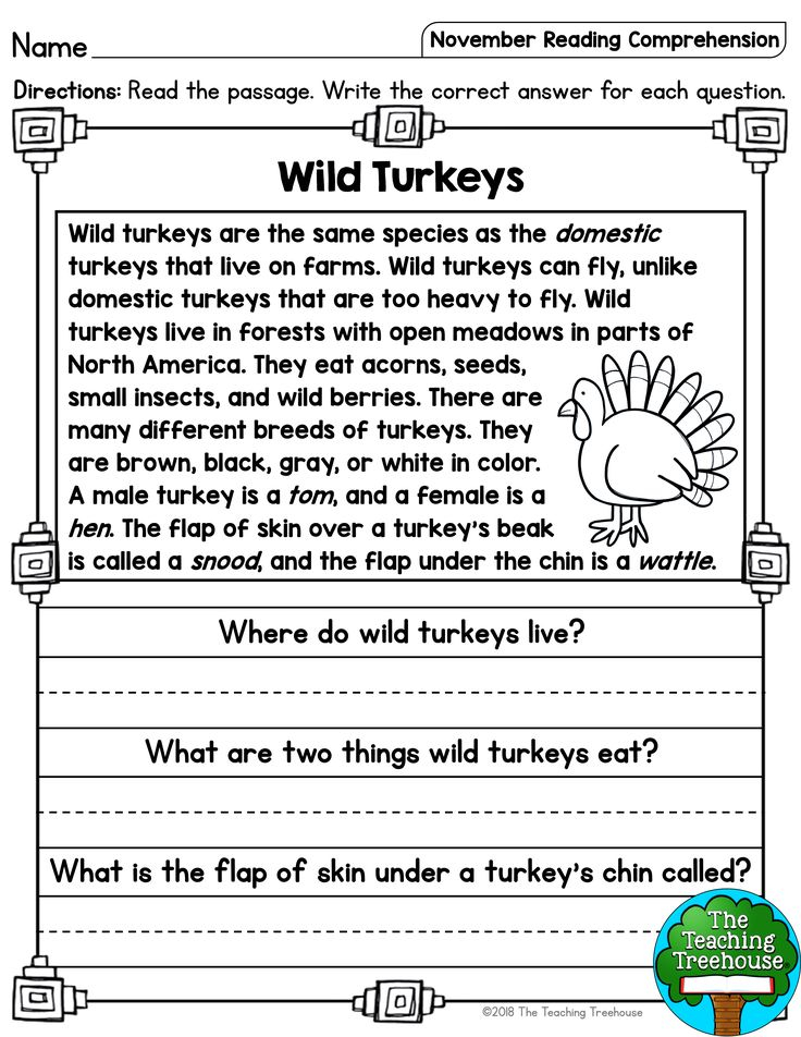 Turkey Reading Comprehension Worksheets - Noun Turkey Worksheet