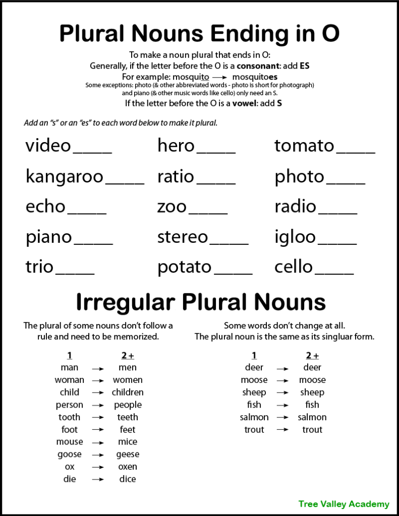 Worksheet For Plural Nouns - Plural Nouns Ending In O Worksheet