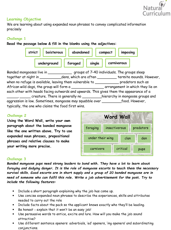 Year 6 Expanded Noun Phrases Worksheet Activities Natural  - Noun Phrases Worksheet Year 6